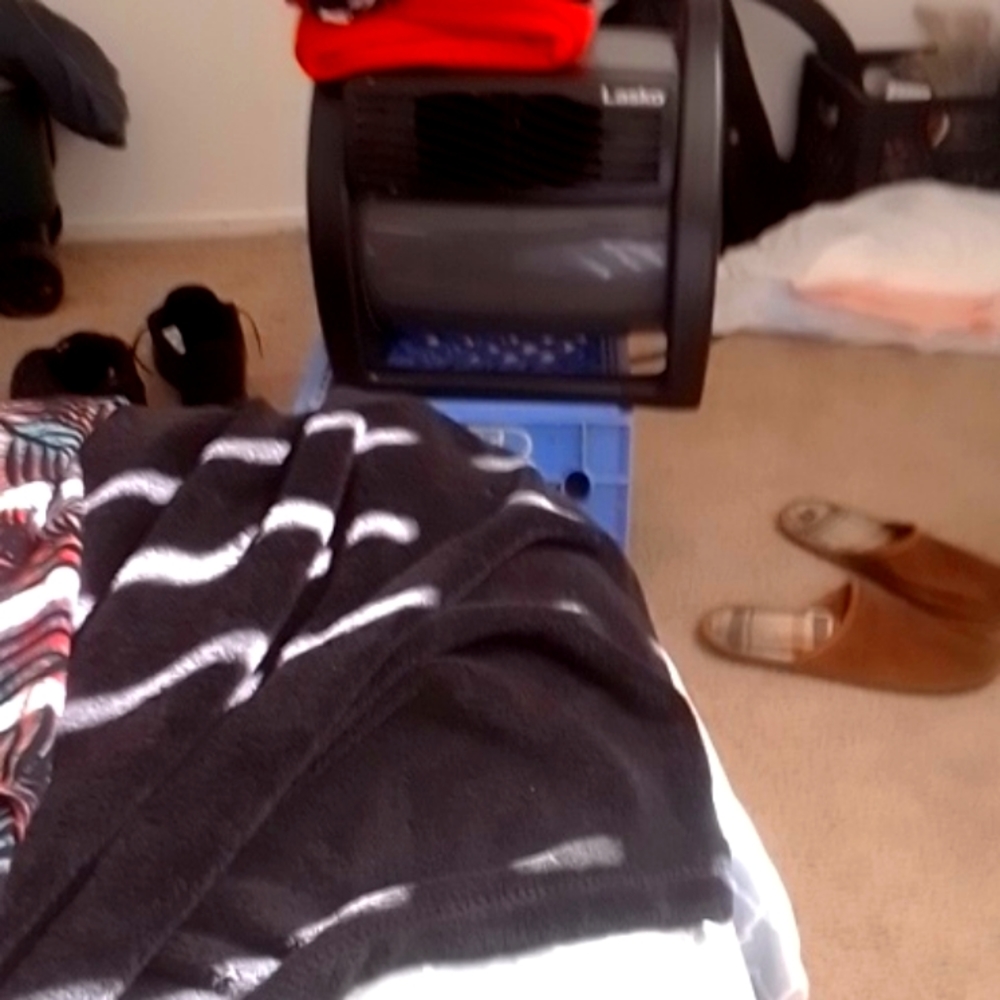 Floor fan